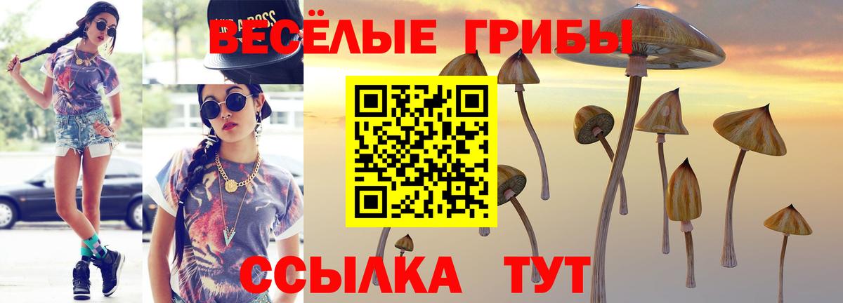 Галлюциногенные грибы мухоморы Минусинск